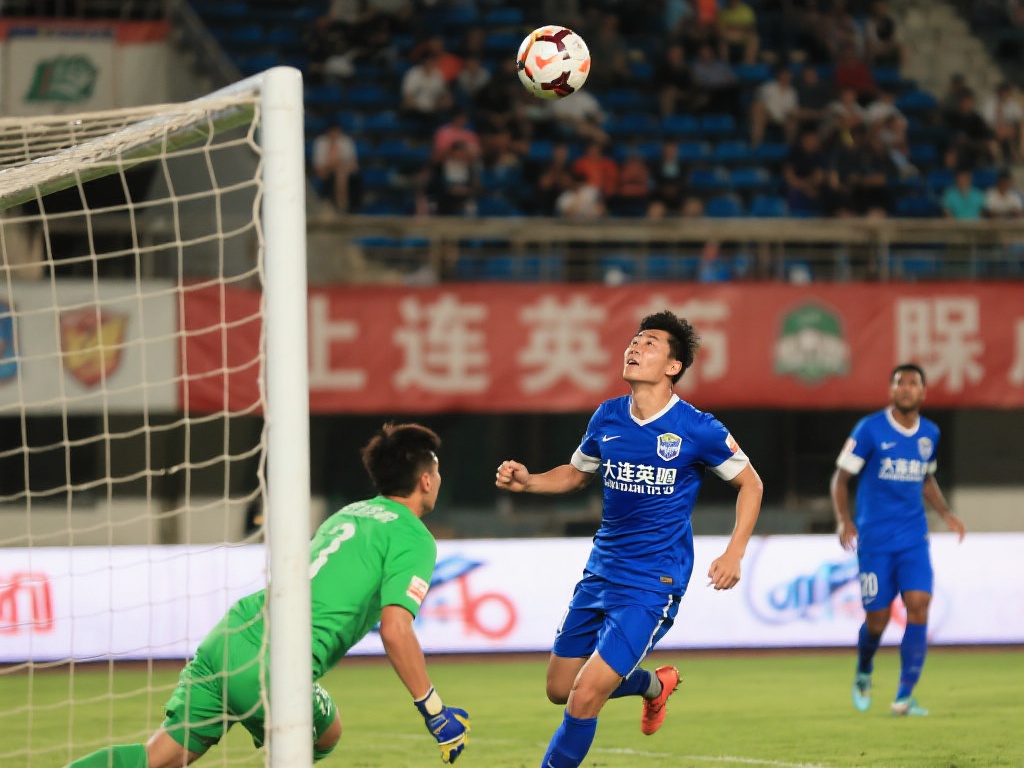 共同提升了 共同提升了