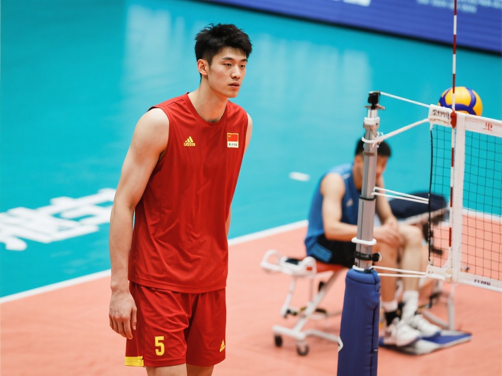 官方认证 官方认证